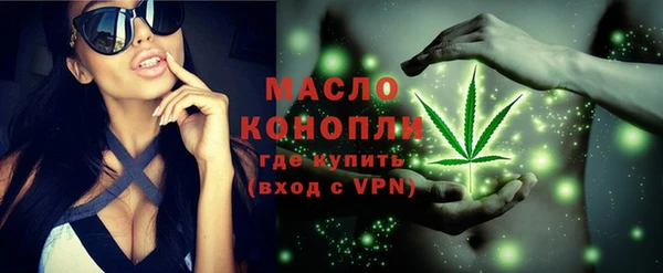 гашик Мегион