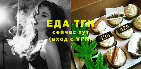 гашик Мегион