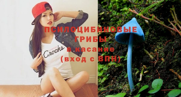 индика Михайловка