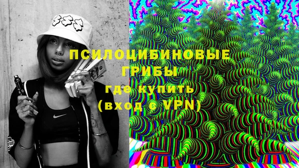 твердый Медногорск