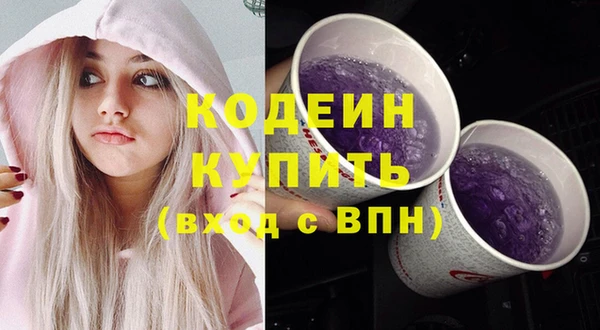 гашик Мегион