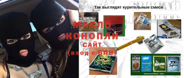 гашик Мегион