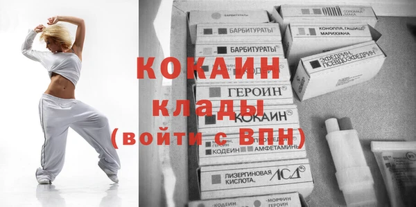гашик Мегион