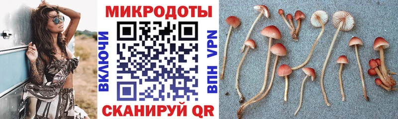 Псилоцибиновые грибы мицелий  Лихославль 